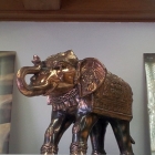 Elephant for sale